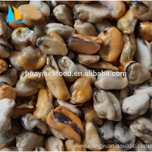 Factory Frozen cooked boiled HACCP ISO mussel meat